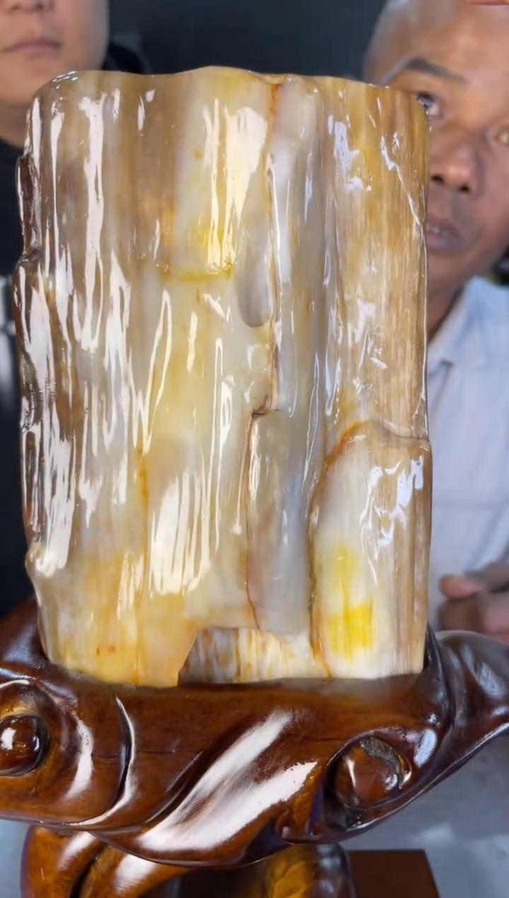 未镶嵌摆件硅化玉11