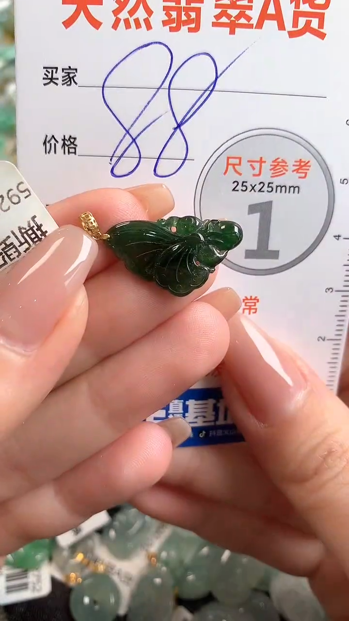 【闪购商品】翡翠颈饰18K金镶嵌13007776