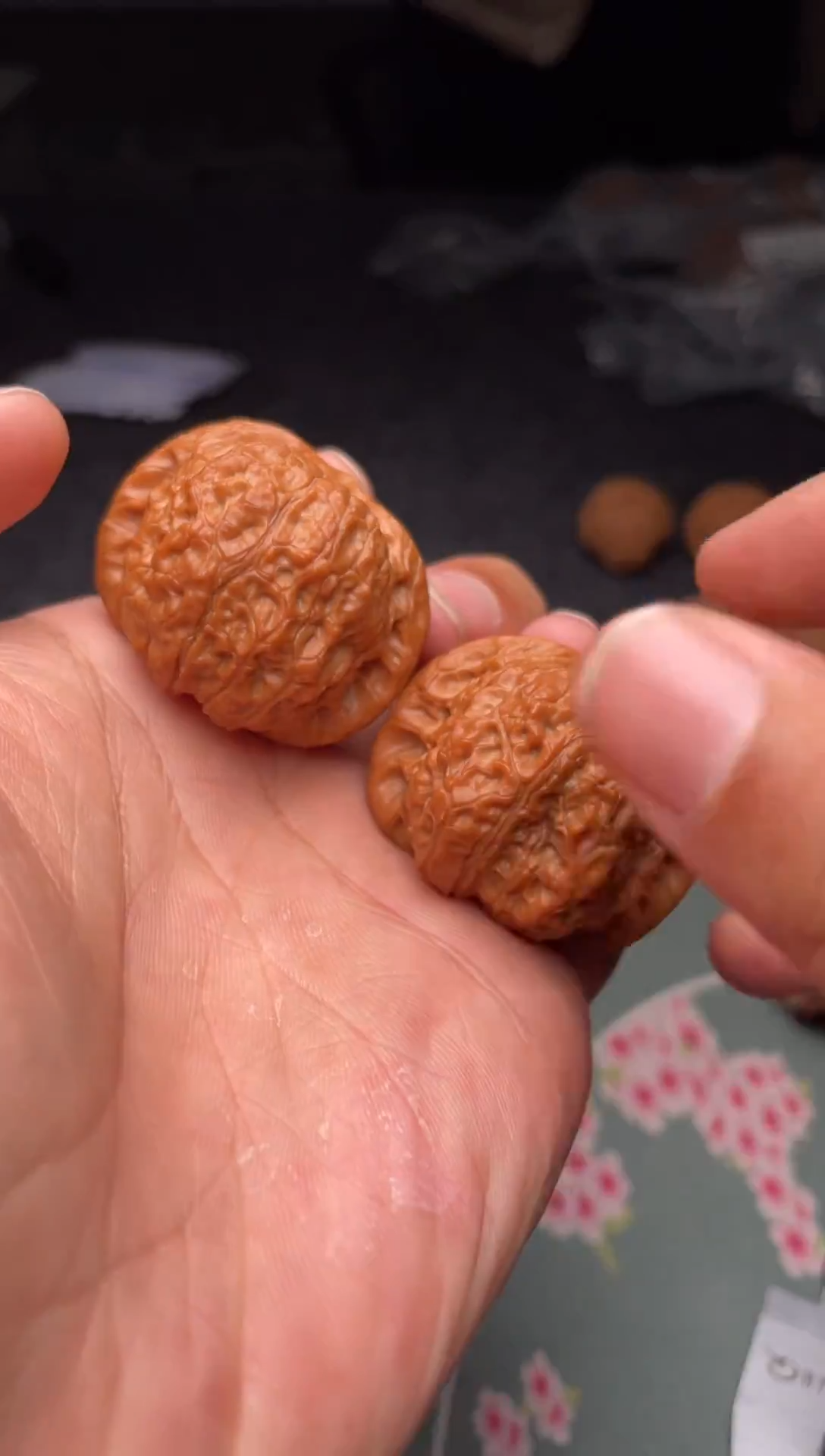 把件文玩核桃a310   血麒麟38尺