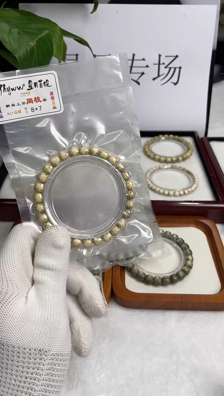 星月菩提手串8*7绿背豚海南原生态单圈