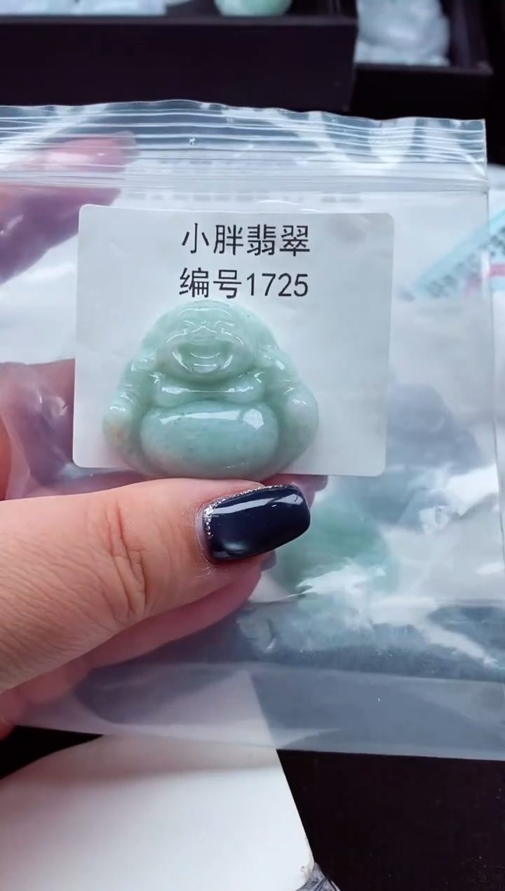 颈饰未镶嵌翡翠缅甸天然A货翡翠1725