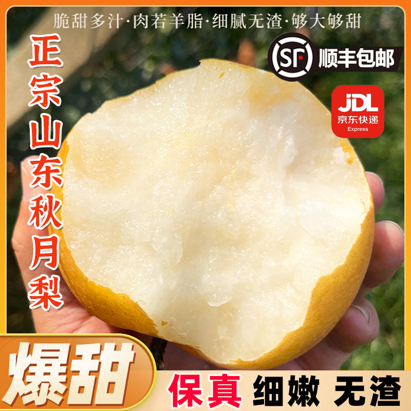 【顺丰/京东】新鲜采摘头茬山东秋月梨冰糖梨产地直销新鲜水果