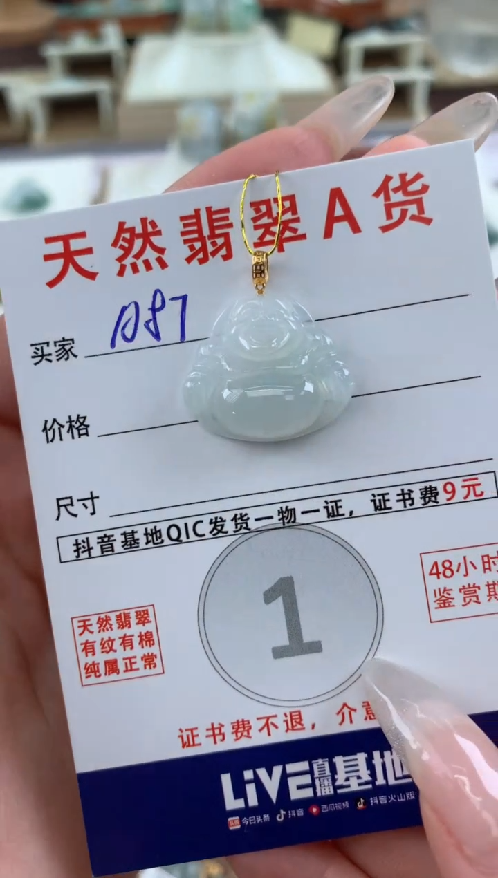 【闪购商品】翡翠颈饰未镶嵌 天然A货翡翠挂件