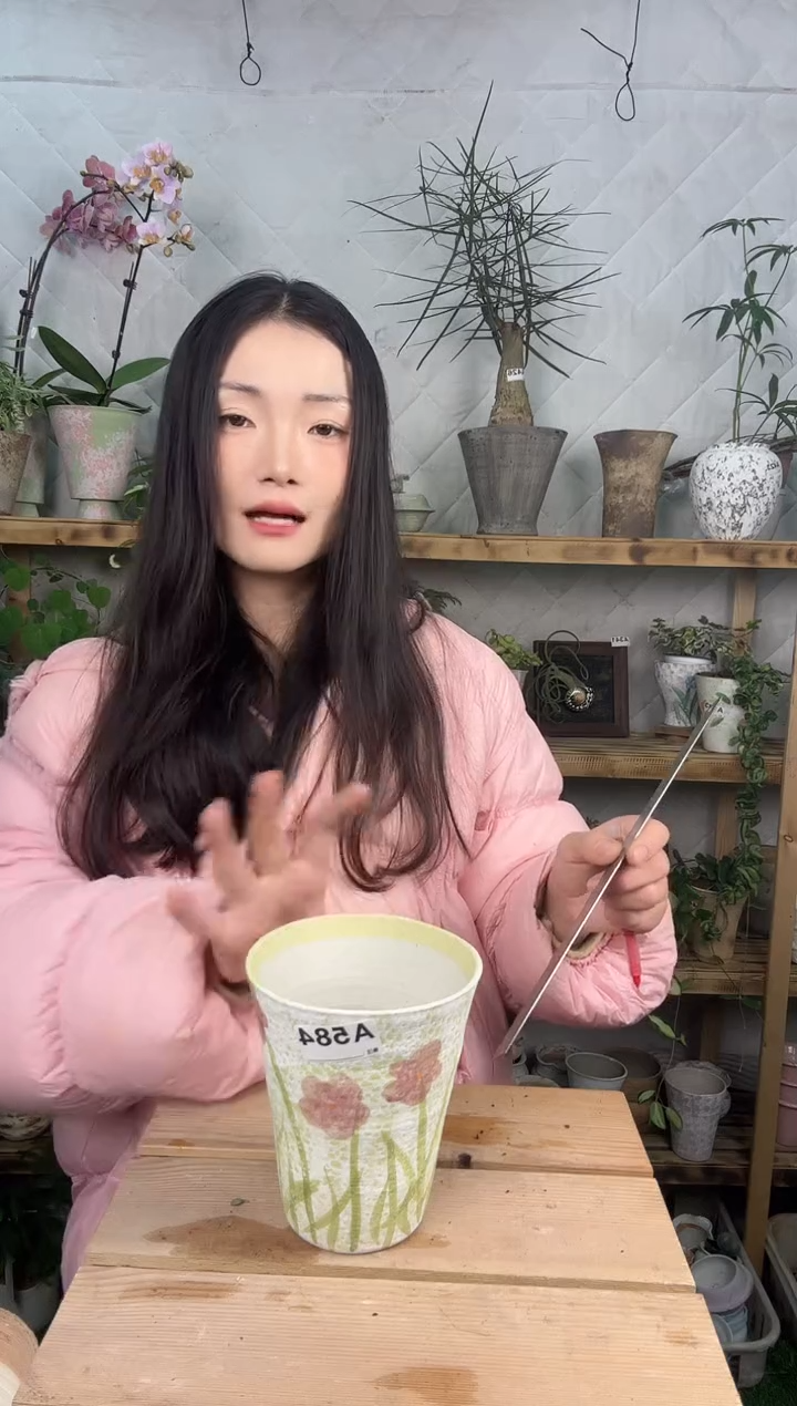 无花朵编号 454景德镇手绘花盆12x14