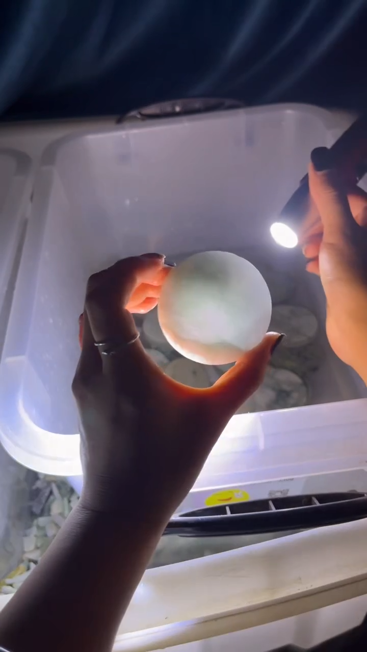 翡翠挂件未镶嵌翡翠