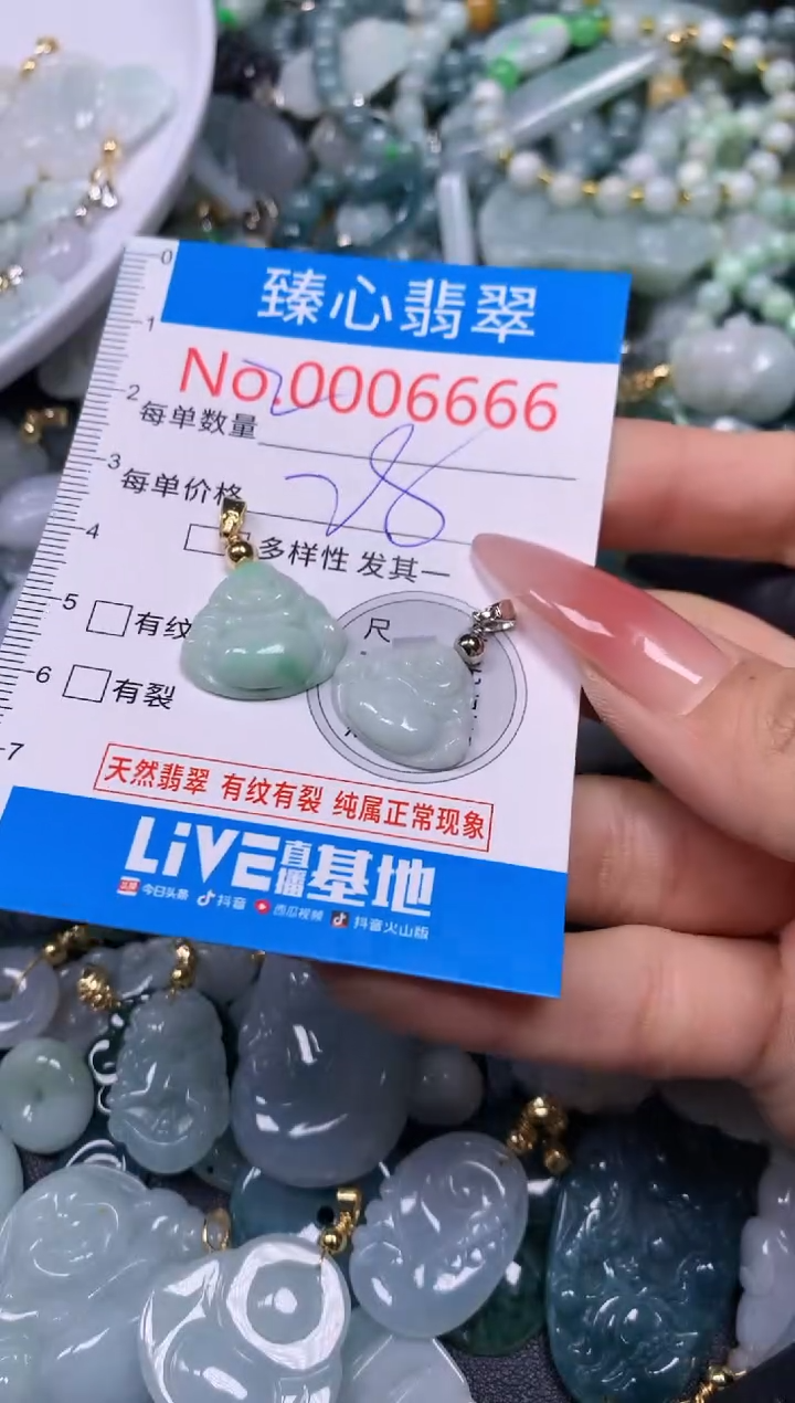 【闪购商品】翡翠颈饰未镶嵌含绳0006666