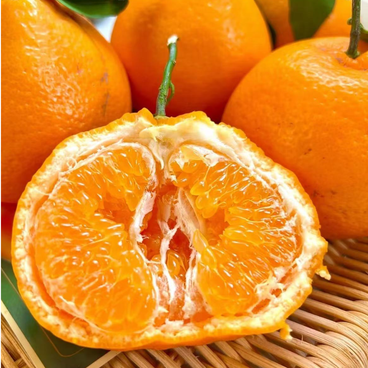 【顺丰】金钱豹春见耙耙柑 皮薄肉厚 带筐5.5斤左右（江浙沪皖）