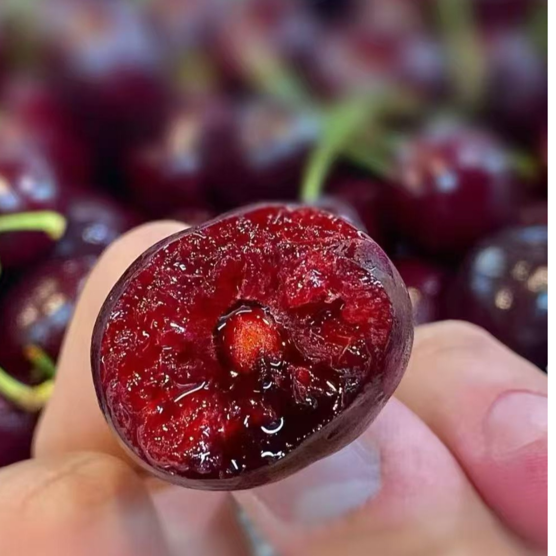 JJD车厘子500g-2500g海运桑提娜智利