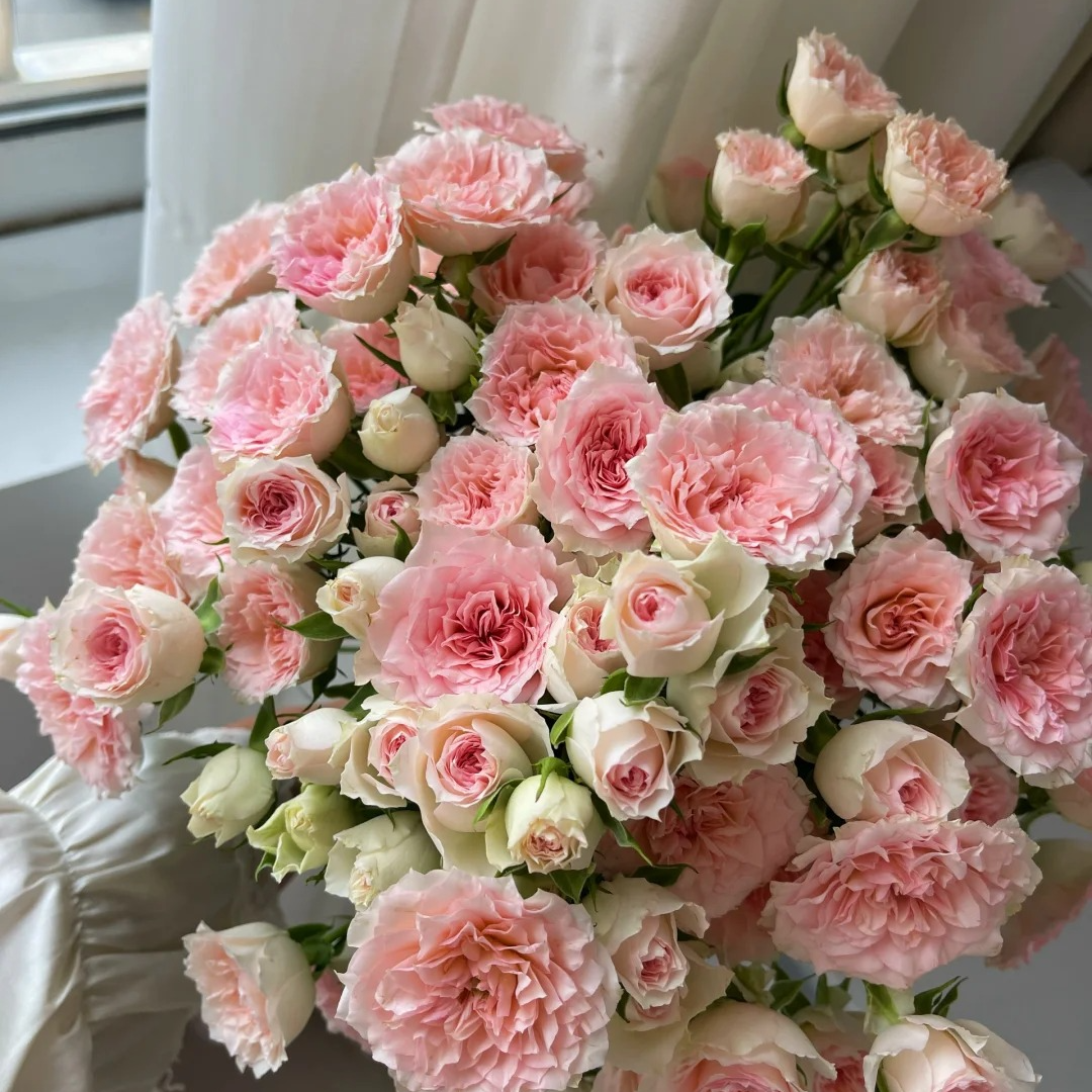 【情迷罗拉5枝】全国地区鲜花专场，两单升级顺丰京东，今天拍明天到。