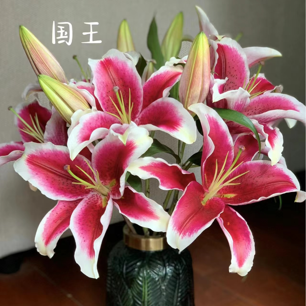 红色艳丽国王香水百合云南鲜花基地直发水养鲜切花