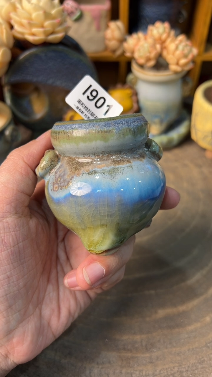 901 内口4【多肉花盆多肉盆】