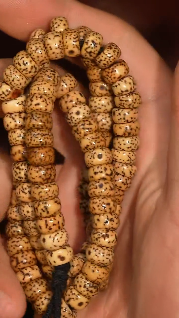 冲赛康胡子哥，藏传念珠207