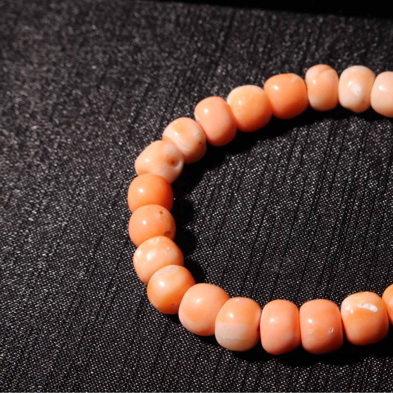 绛树珊瑚鼓珠1号