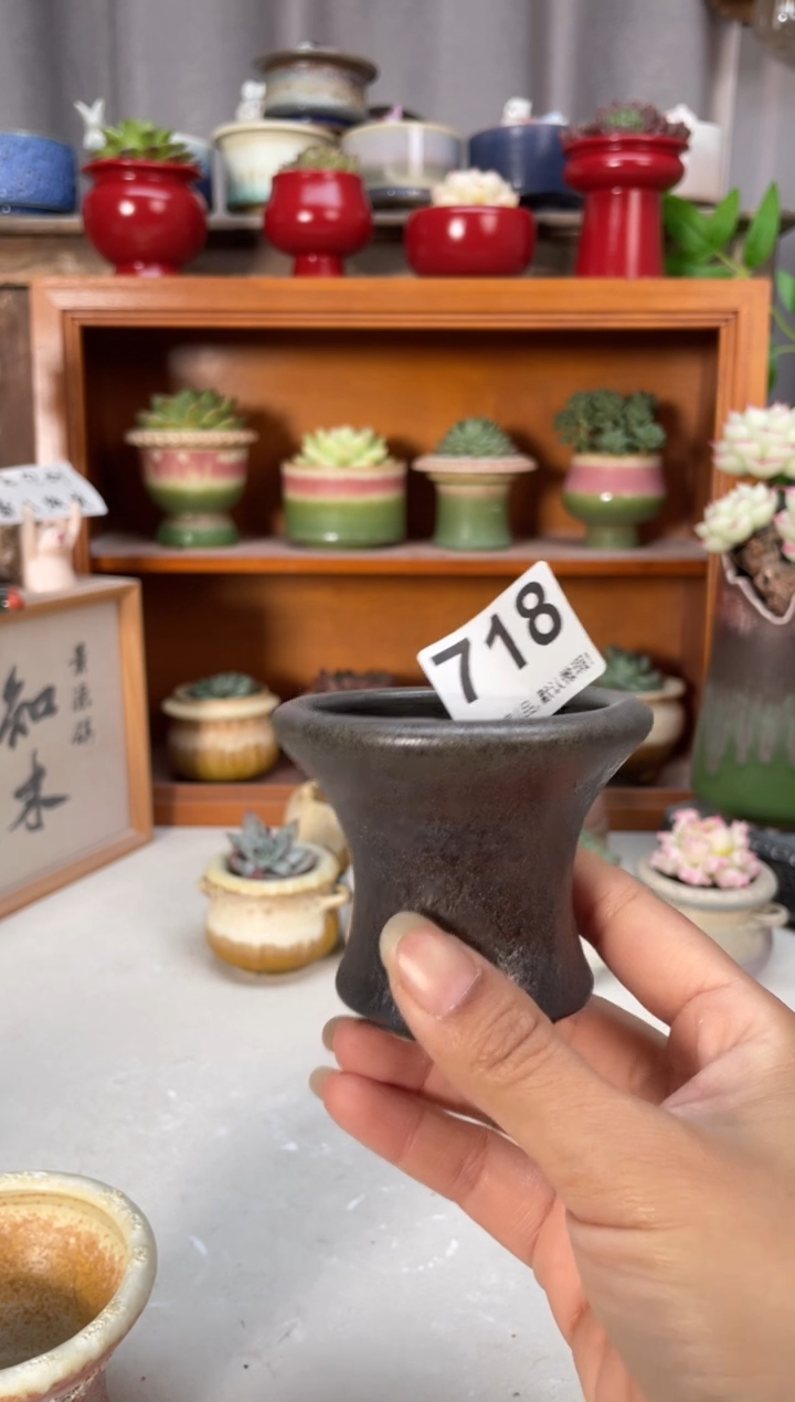 瓷片彭**喽福利718知木小芳花盆编号