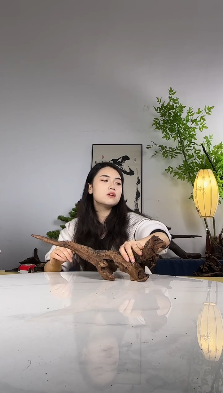 躺*君拍沉木定向链接编号12