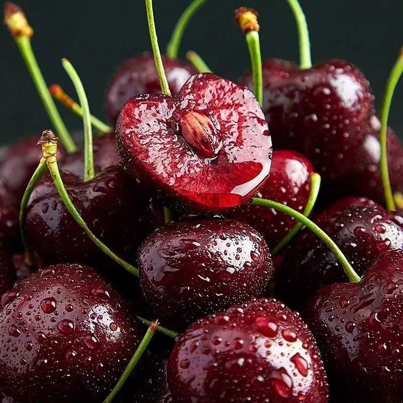 【达吾水果】智利海运单JD桑缇娜车厘子5斤原箱包装（同城骑手配送到家)      内附果径卡桑提娜智利