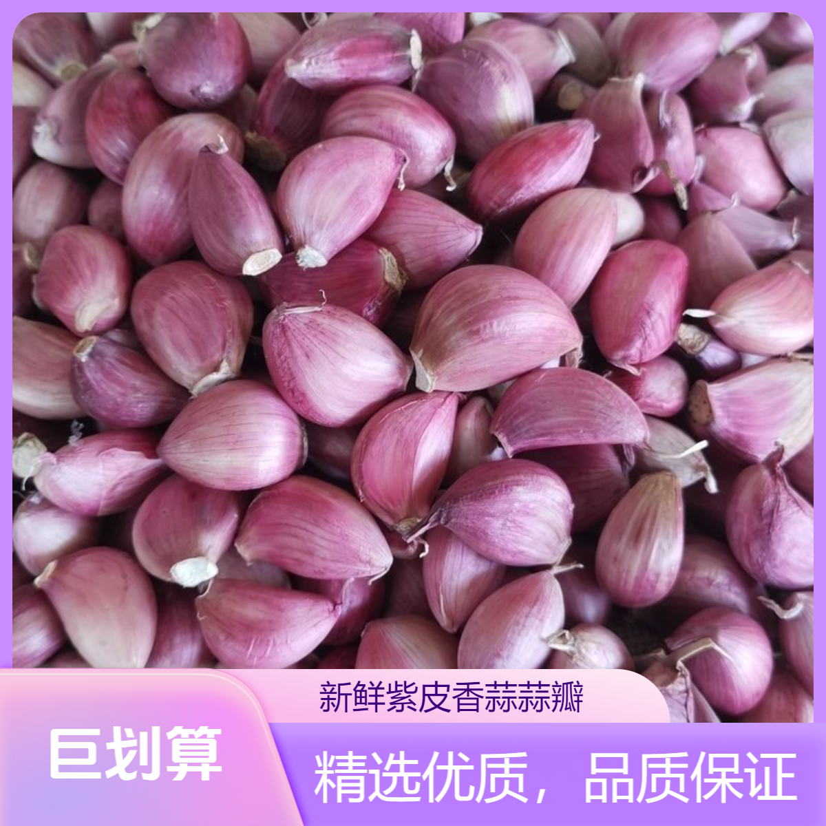 【农家香蒜】云南紫皮蒜瓣香蒜2025新干蒜老品种去皮蒜瓣精品