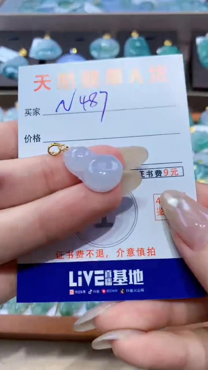 颈饰未镶嵌翡翠天然翡翠A货挂件