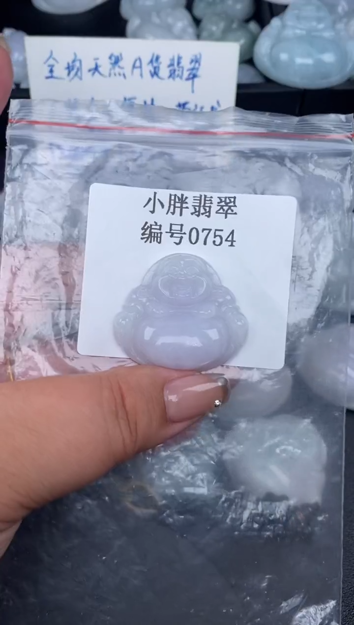 翡翠未镶嵌颈饰缅甸天然A货翡翠0754