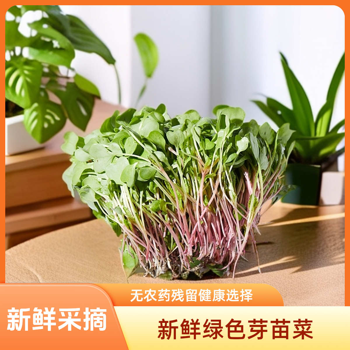 新鲜萝卜苗蘸酱菜150g
