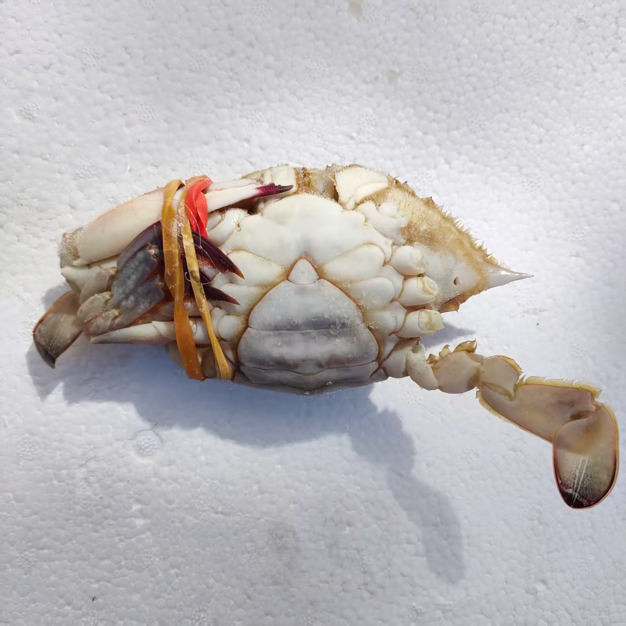 【冻蟹】残次品处理慎拍3两左右/只下酒菜呛蟹腌制蟹不可蒸煮3斤裝