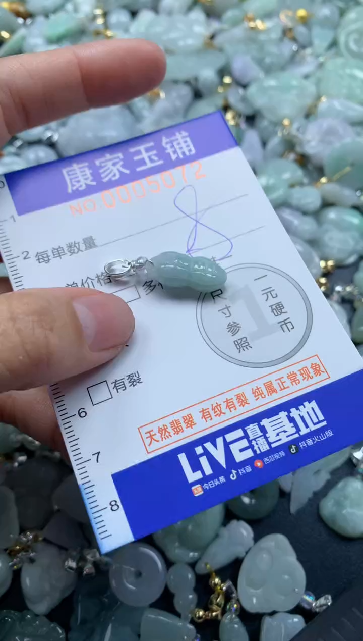 颈饰未镶嵌翡翠5072