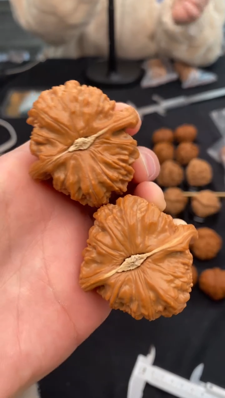 【闪购商品】文玩核桃把件白狮子43-u289