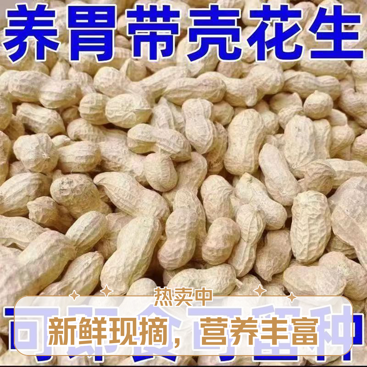 2024年新鲜带壳生花生晒干高产薄壳花生种子花生米带壳可做发芽菜