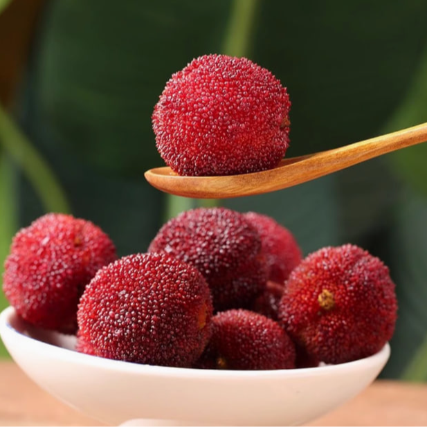 9A仙居东魁杨梅鲜果当季新鲜水果现摘50颗大果整箱包邮