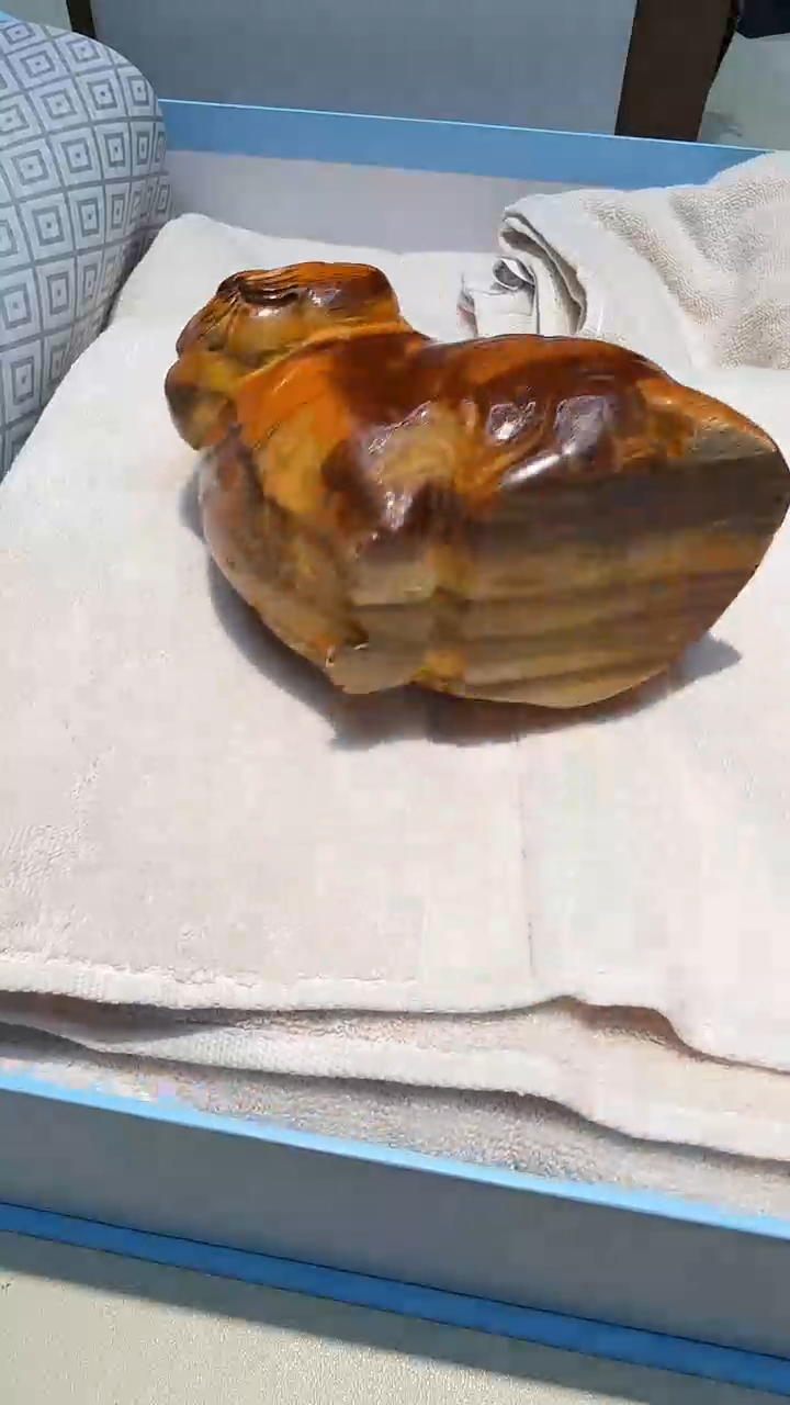 都是大宝贝儿都是大漂亮****572