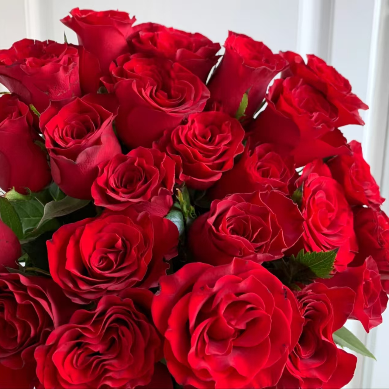【沉沉专属】10枝 高原红玫瑰