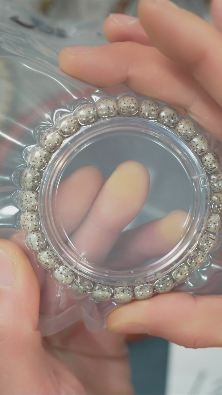 【闪购商品】星月菩提吊坠净庄阁文玩