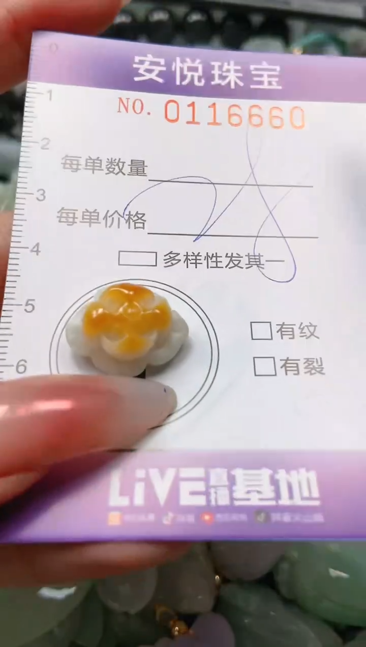 【闪购商品】翡翠颈饰未镶嵌闪购0116660