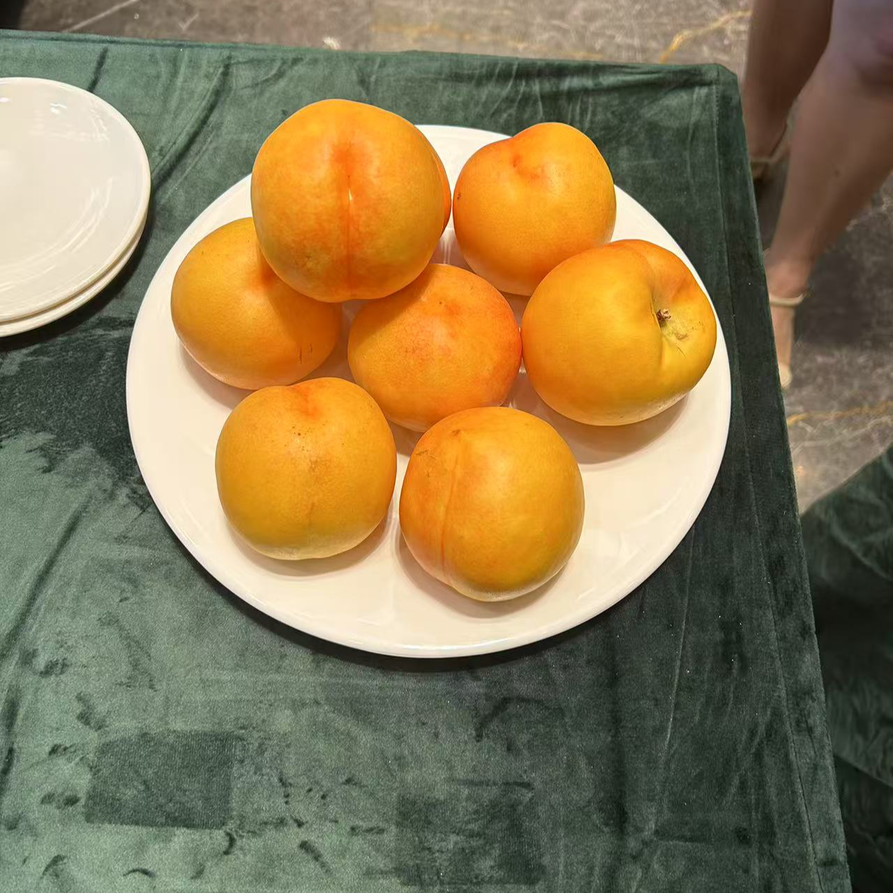 郑州果树研究所油桃经典品种桃苗