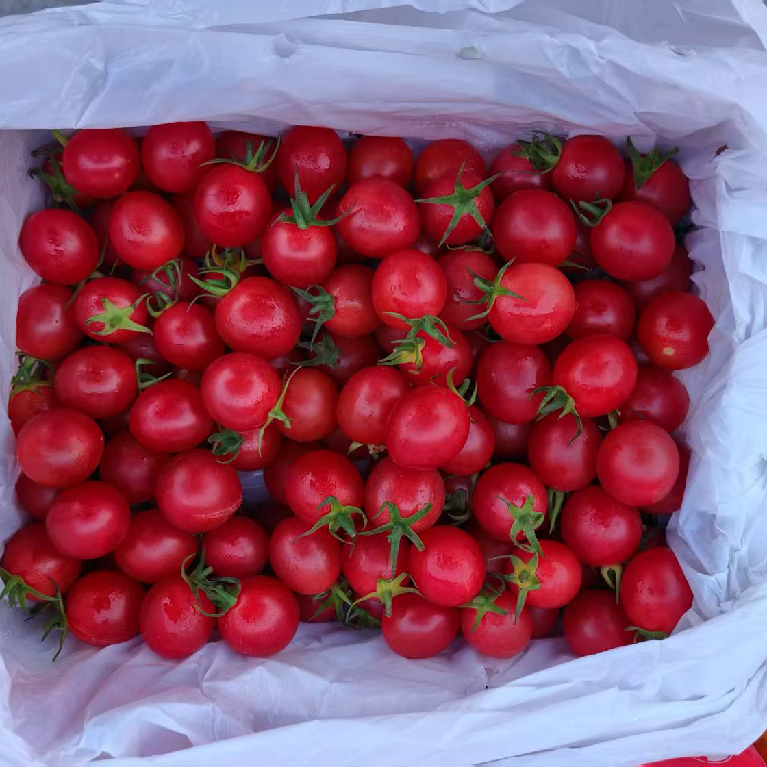 【顺丰包邮】广东电白千禧果 毛重2.5斤 礼盒装