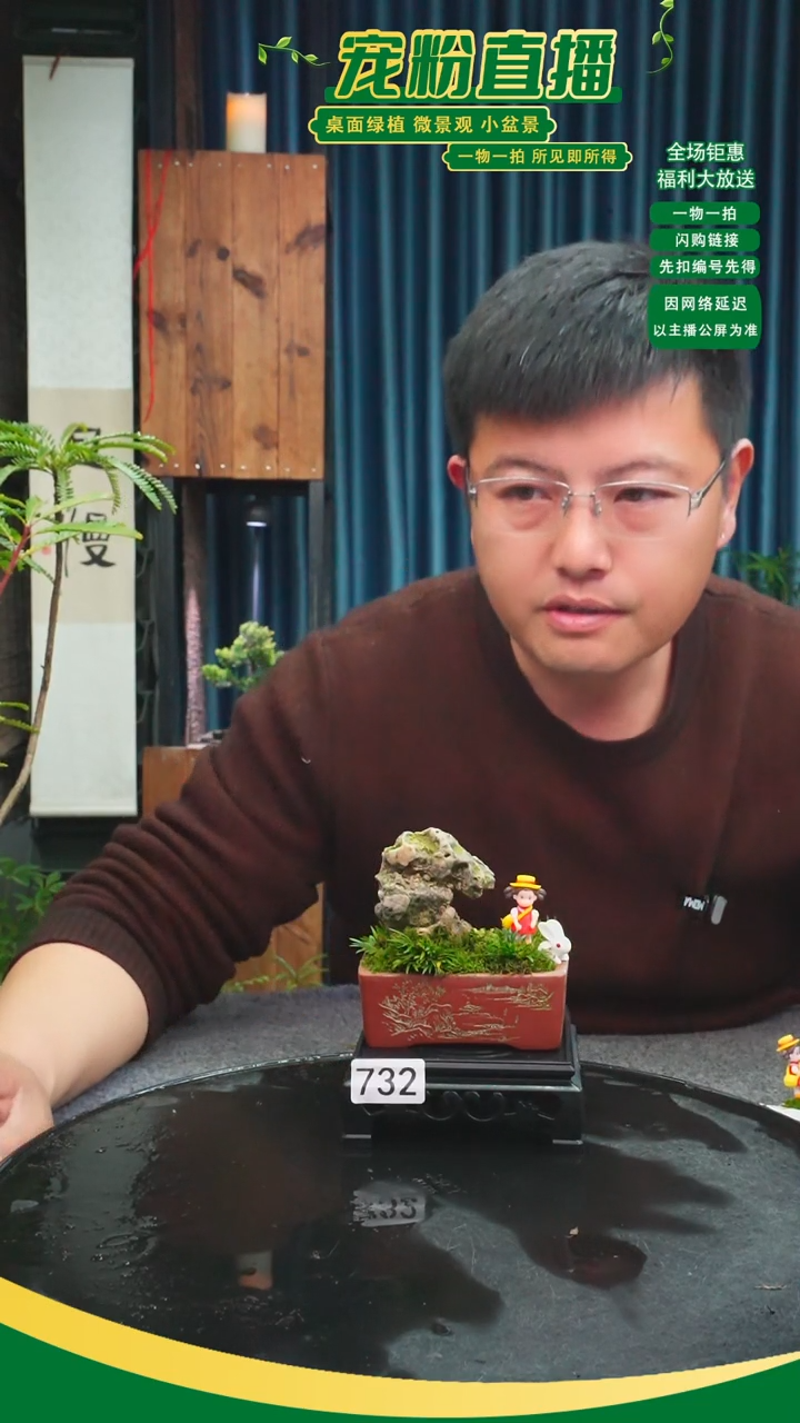 无花朵快***?苔藓微景观732号