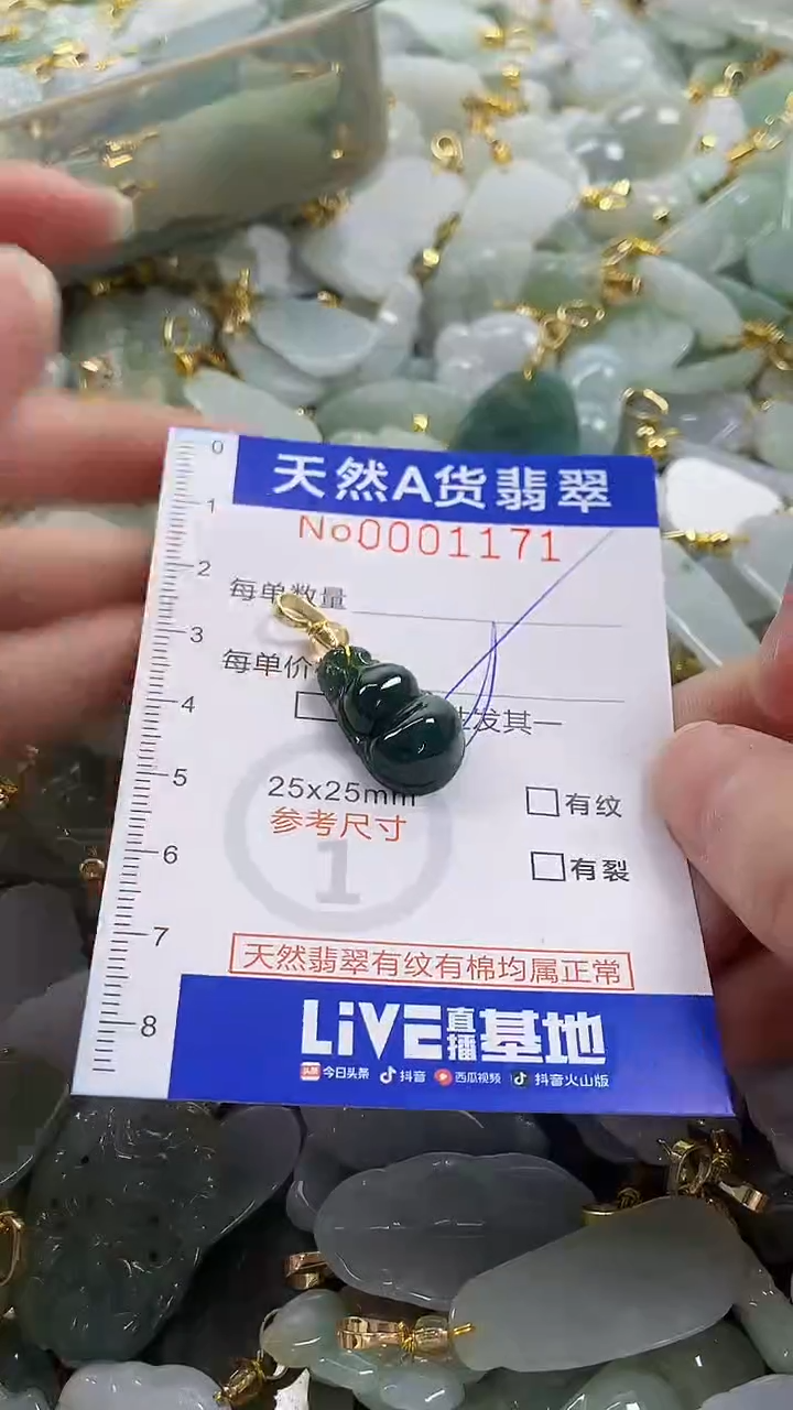 颈饰未镶嵌翡翠纯天然a货翡翠