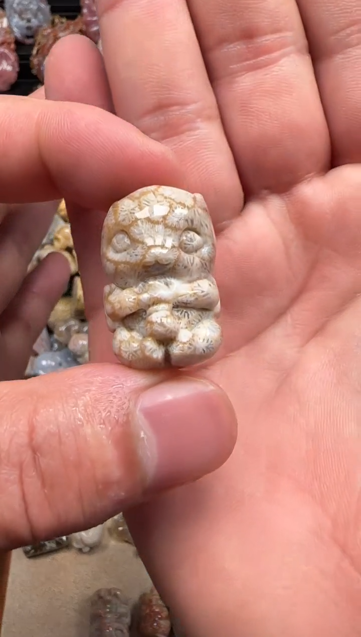 【闪购商品】硅化珊瑚（珊瑚玉）颈饰未镶嵌129