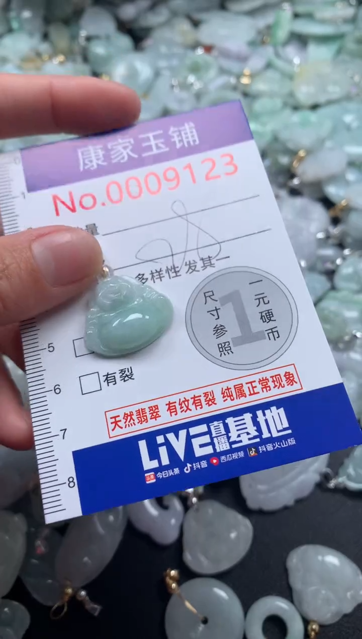 颈饰未镶嵌翡翠9123