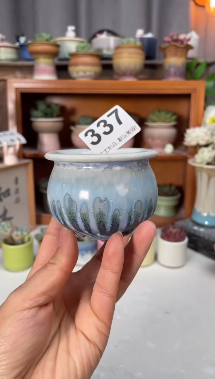 瓷片337小芳直播编号