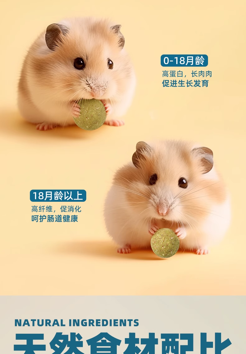 金丝熊营养糊糊长肉