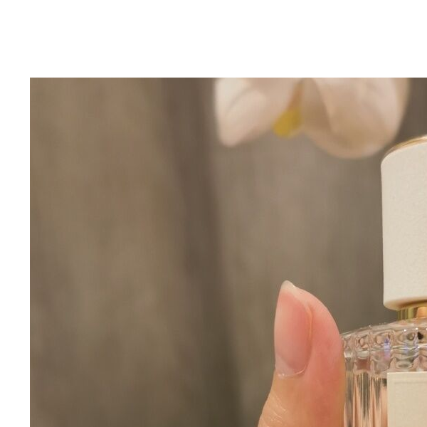 仙境花园系列-北国雪松/木兰诗语/大马士革玫瑰5ml/10ml/30ml香薰