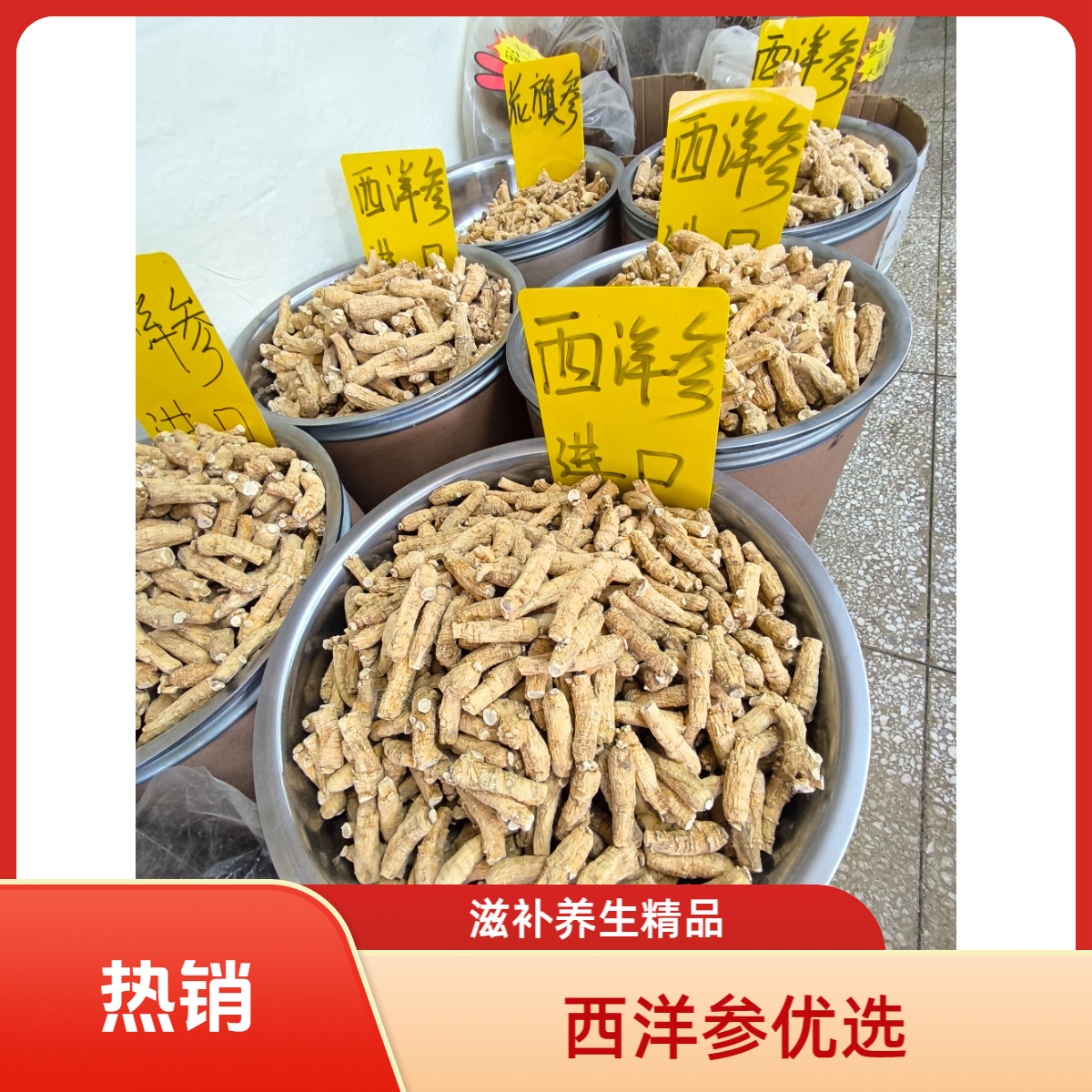 国产西洋参3克7克9克食用西洋参 可磨粉 250克/500克