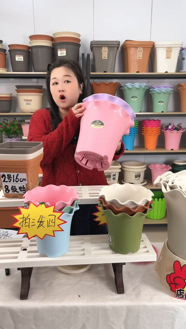 【闪购商品】树脂4套荷叶边5004，2紫2粉