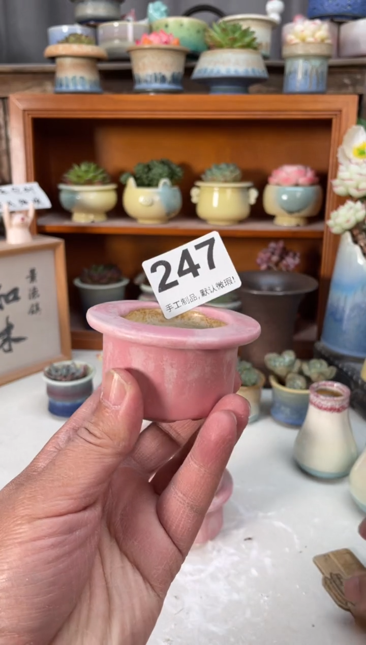 瓷片247小芳直播编号
