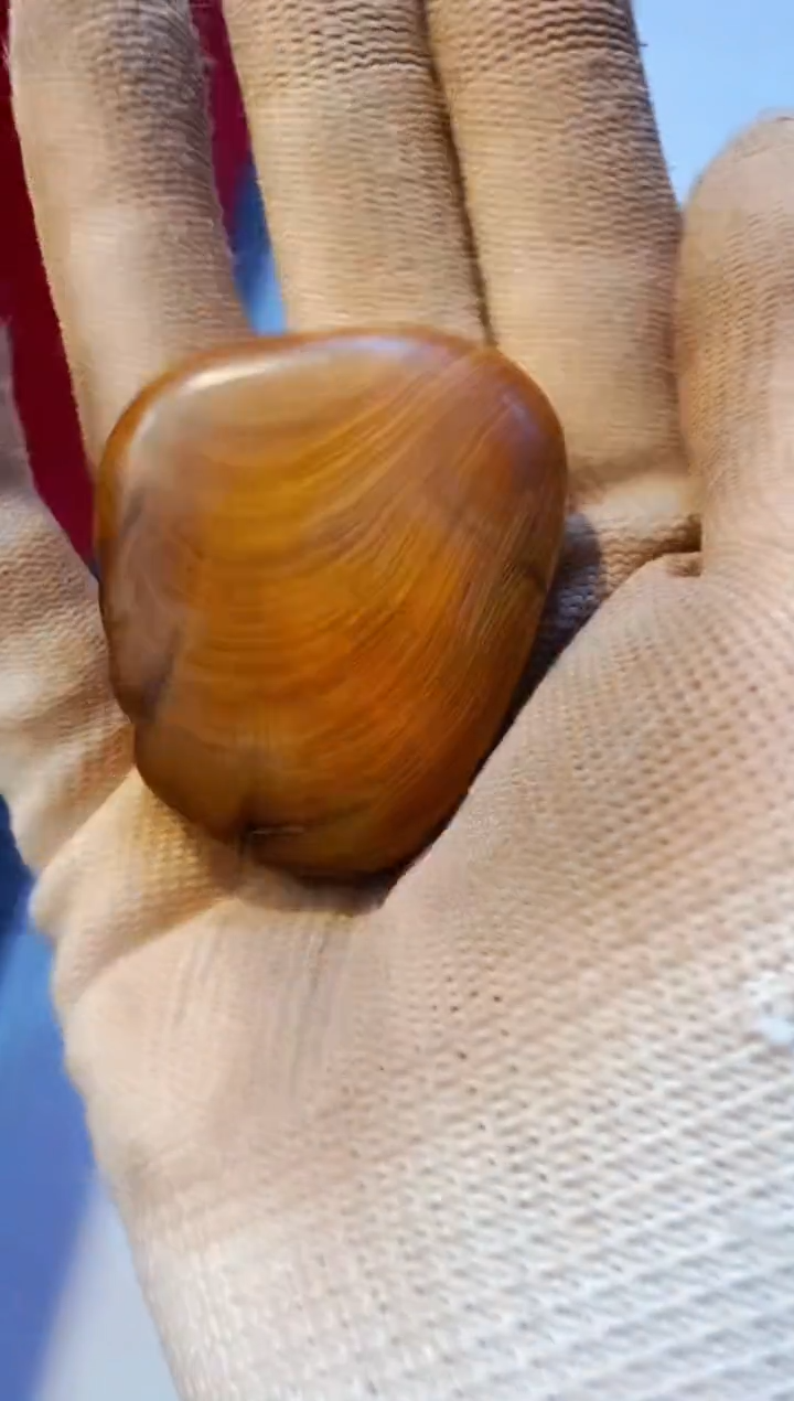 柏木（崖柏）71北太行崖柏手把件手串