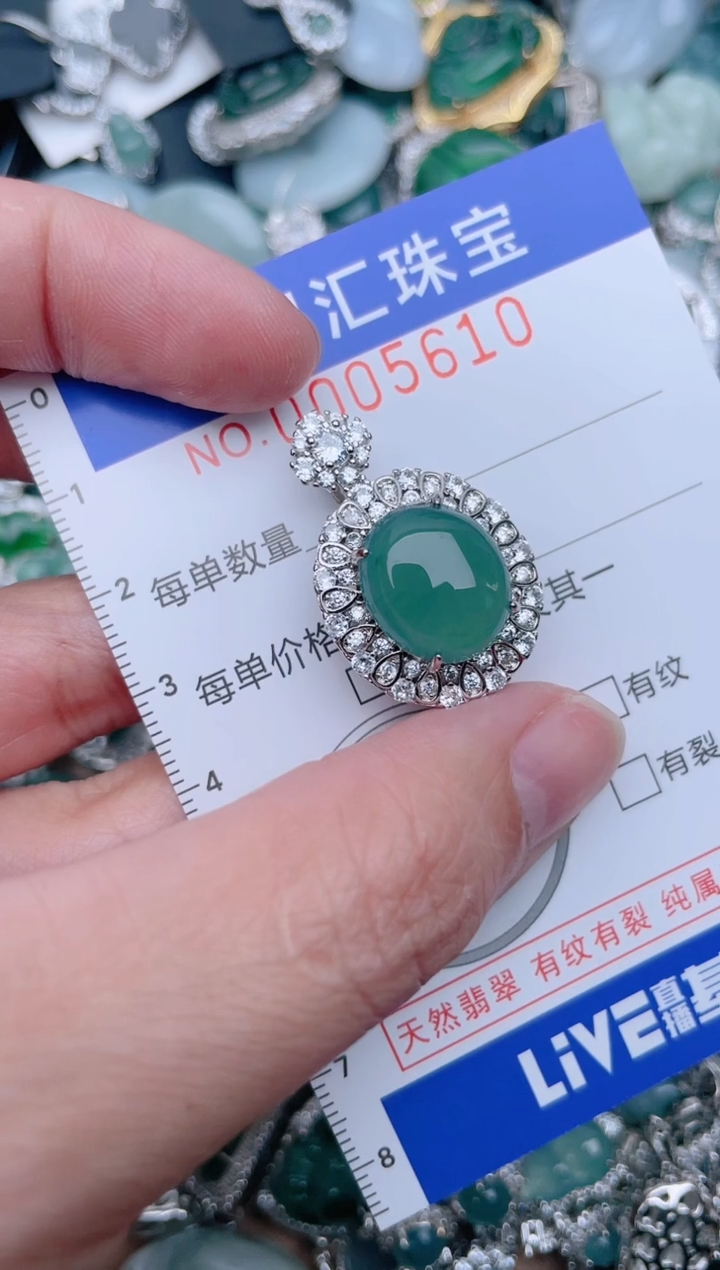 【闪购商品】翡翠颈饰未镶嵌5610.....1