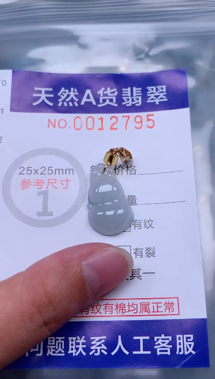 吊坠(赠链)未镶嵌翡翠1