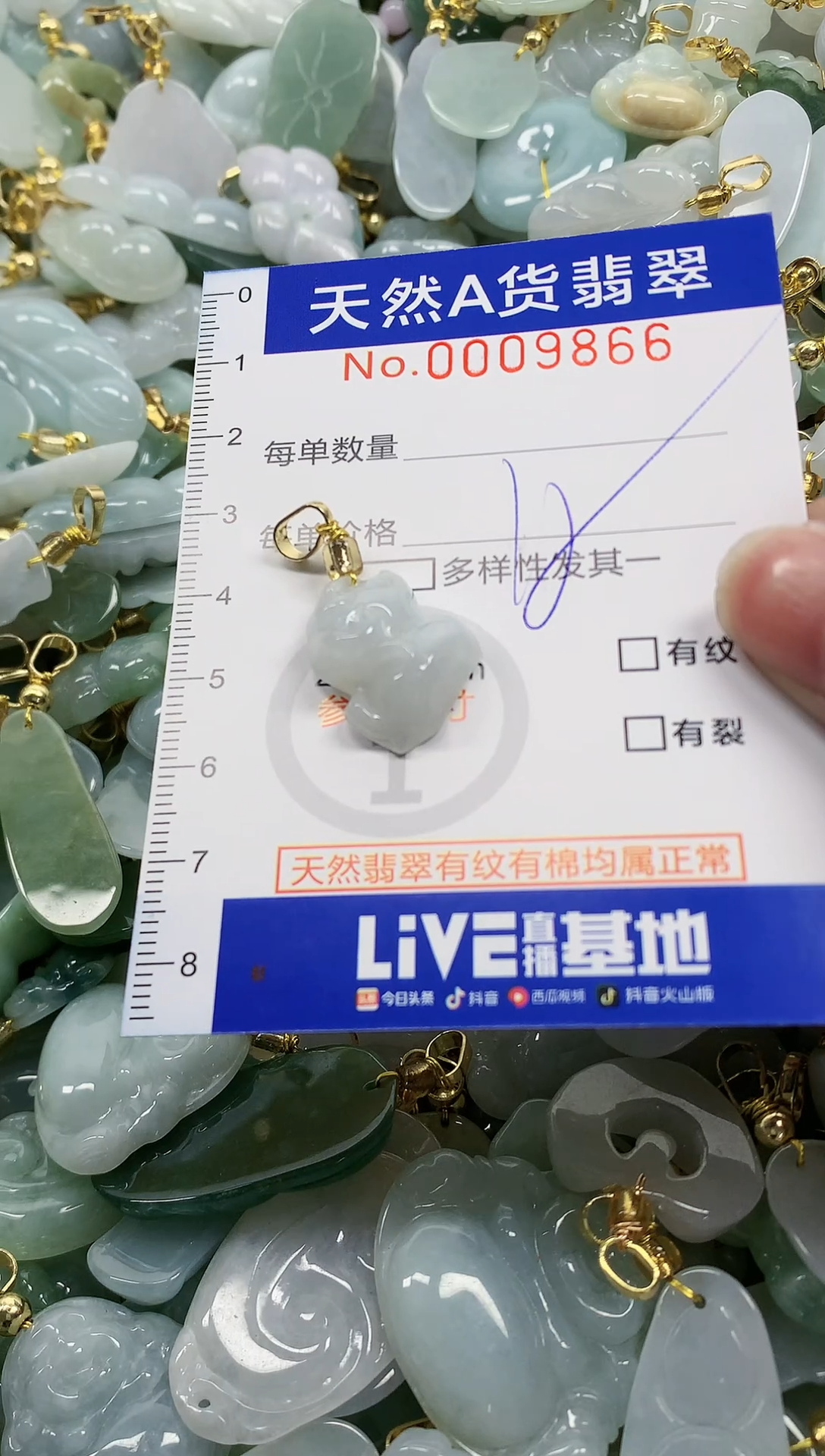 颈饰未镶嵌翡翠纯天然a货翡翠