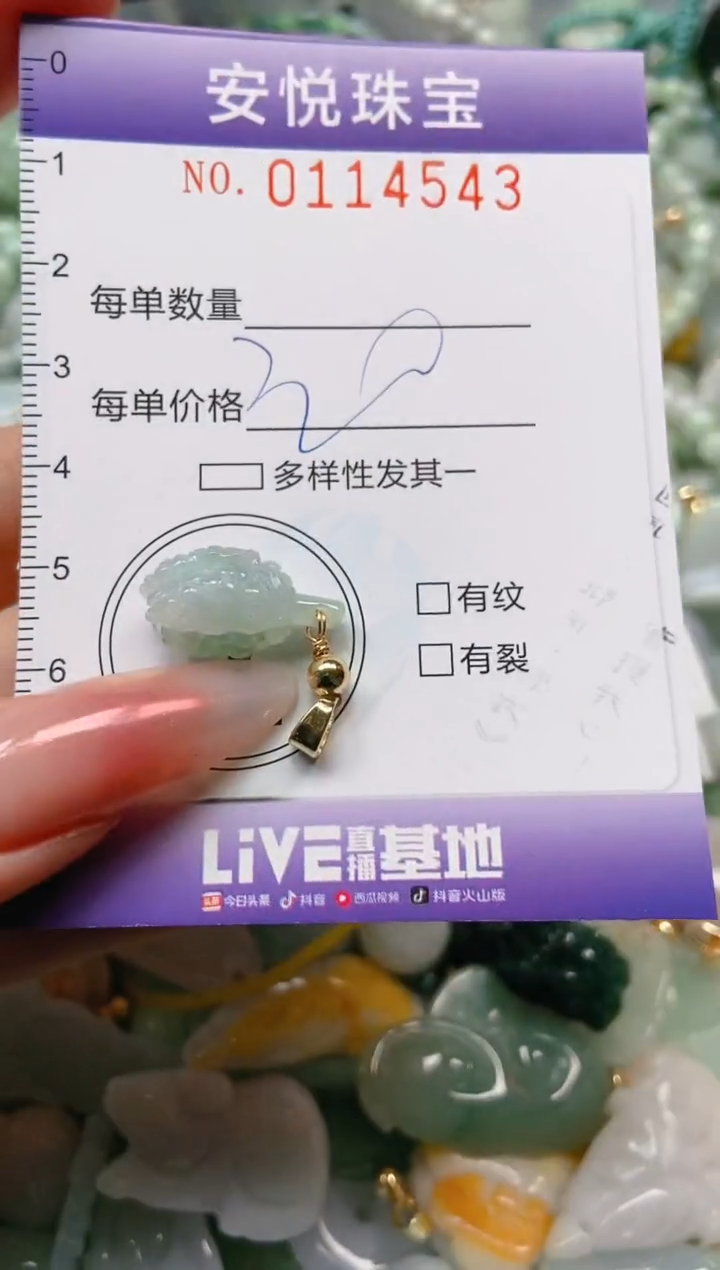 【闪购商品】翡翠颈饰未镶嵌闪购0114543